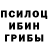 Псилоцибиновые грибы Psilocybe kenneth connors