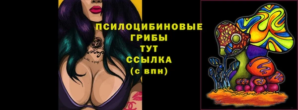 трава Верхнеуральск
