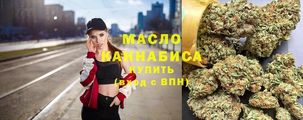 индика Бородино