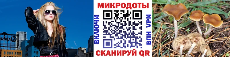 Галлюциногенные грибы прущие грибы  Кирово-Чепецк 